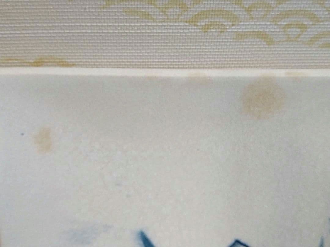 江風　飾り皿　食器　菖蒲　花柄　アンティーク　美術品　工芸品　骨董品　レトロ