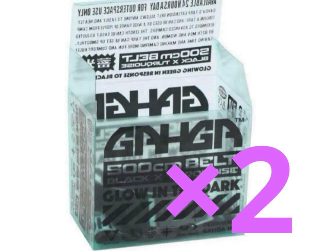 gahga 蓄光 ガイロープ 2本セット ガーガ