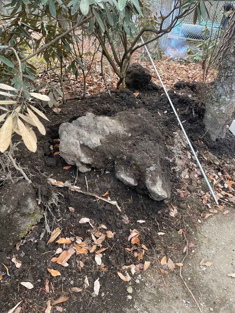 【大量】浅間溶岩石