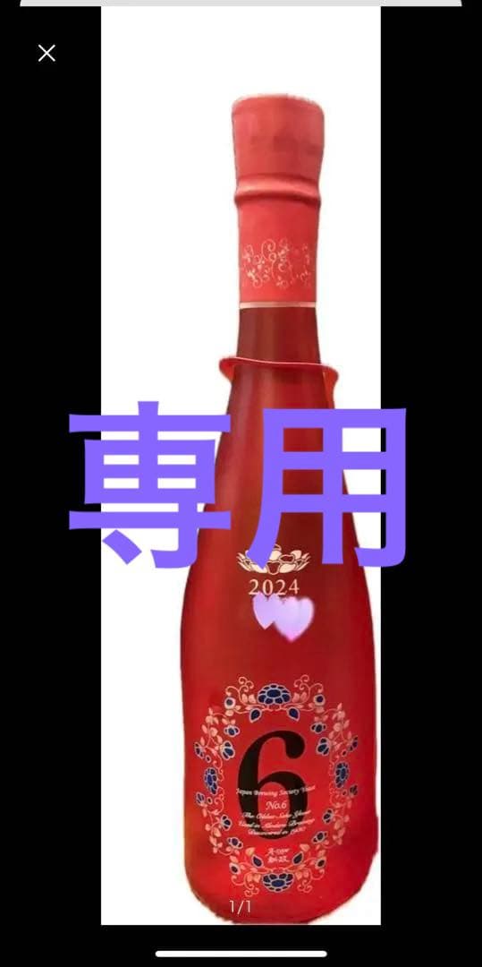 新政　No.6 A-type 2024