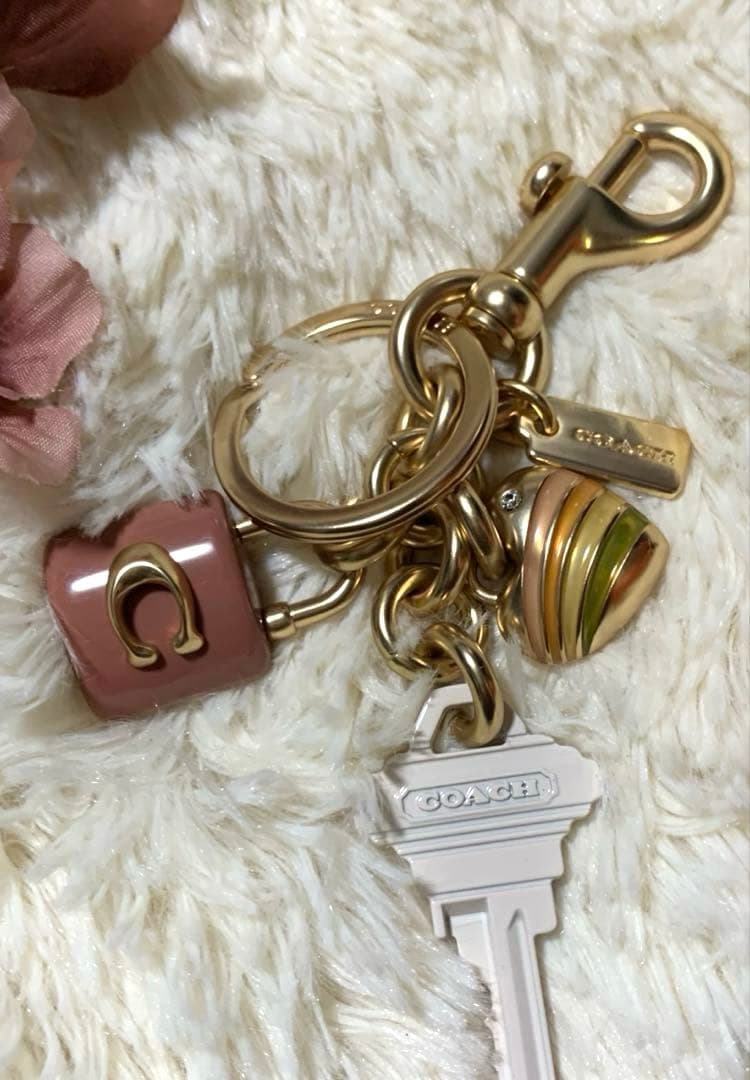 COACH ピンク ストライプ チャーム キーホルダー