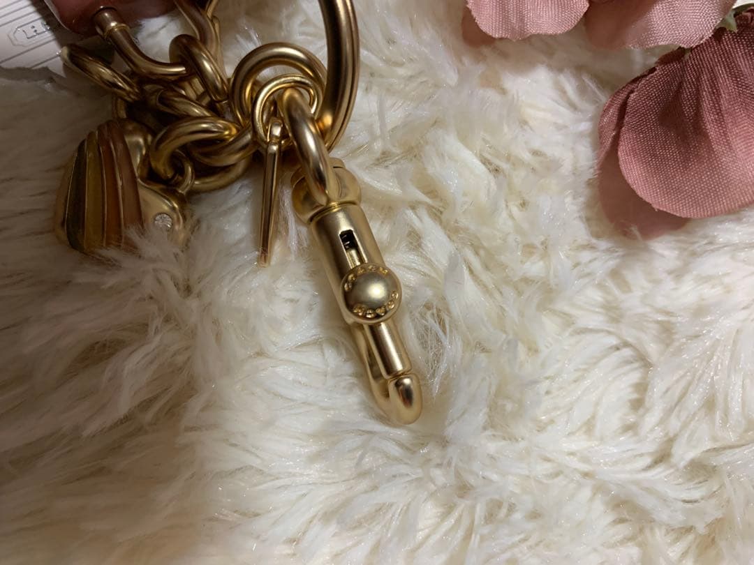 COACH ピンク ストライプ チャーム キーホルダー