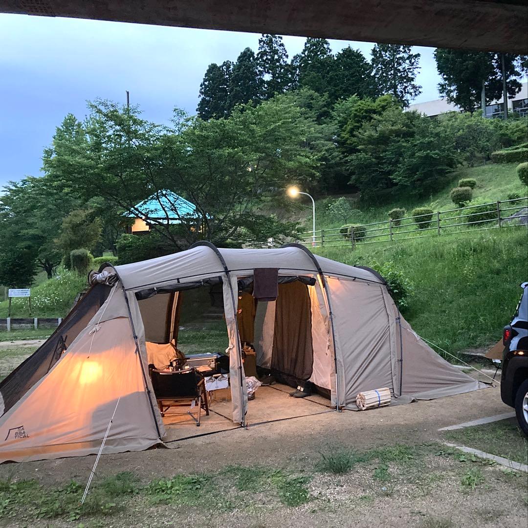 【美品】サバティカル　アルニカ