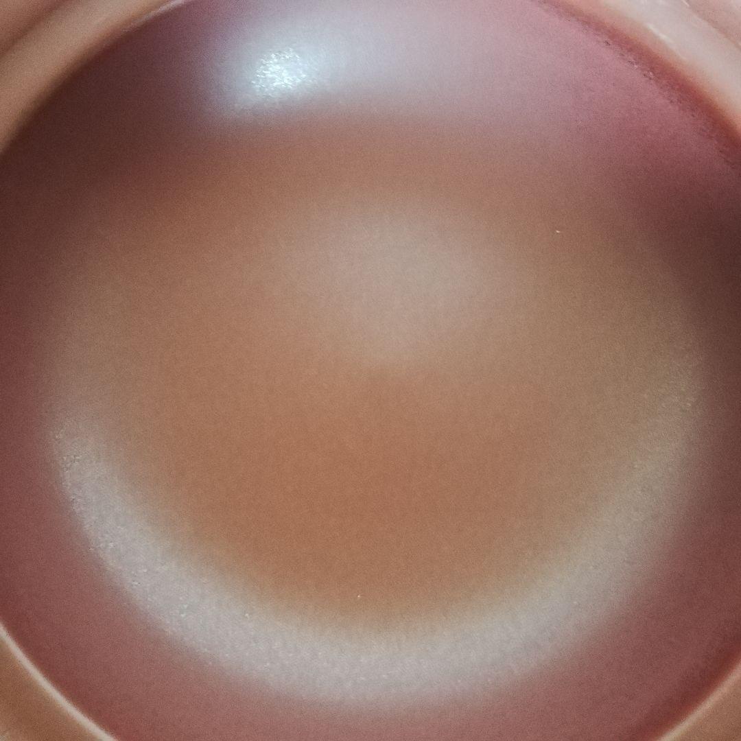 【萬古焼すっぽん鍋・赤鉄】10 号サイズ