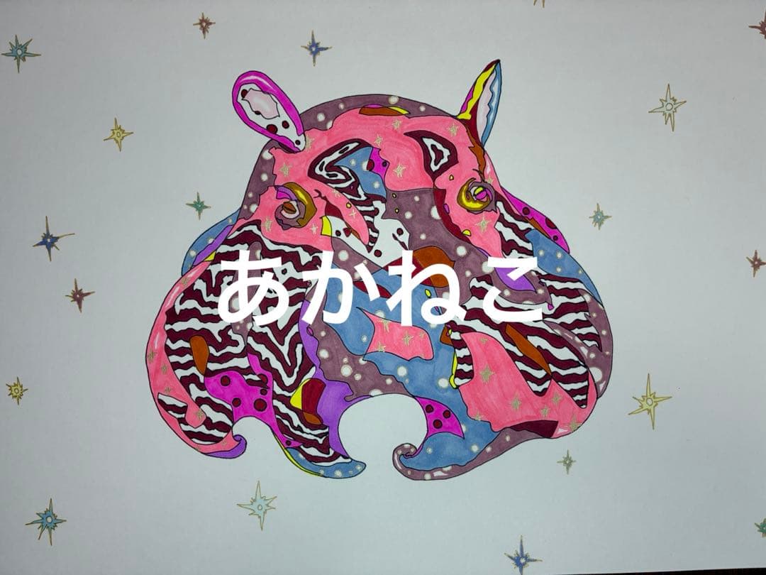 メンダコ　絵画　イラスト