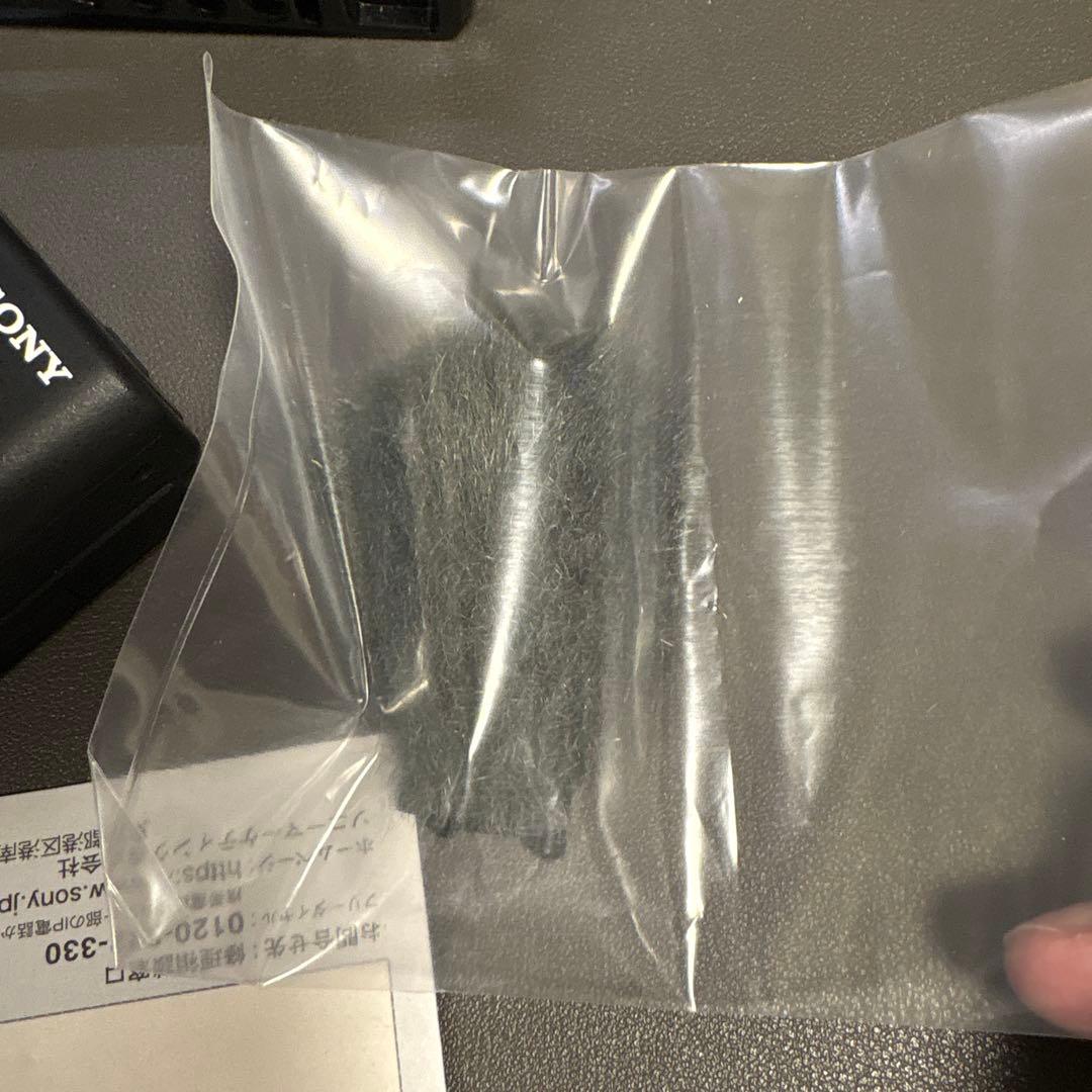 Sony ZV-1G オマケ付 ビデオカメラ 本体