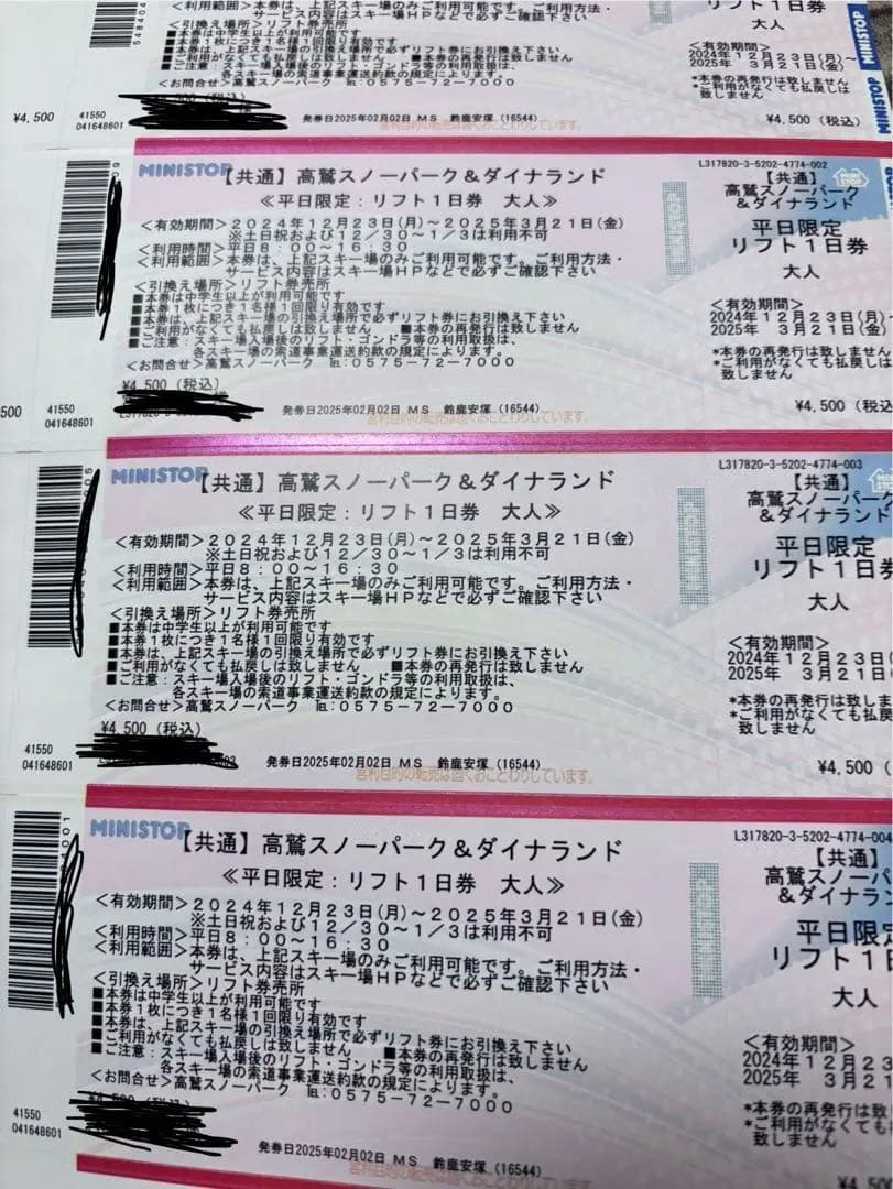 高鷲スノーパーク&ダイナランド(平日限定)リフト券