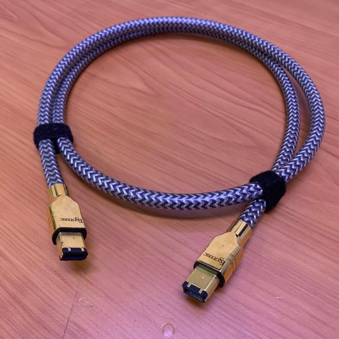 レア❗️ ESOTERIC i.LINKケーブル　8N-6P/6Pi 1.0m