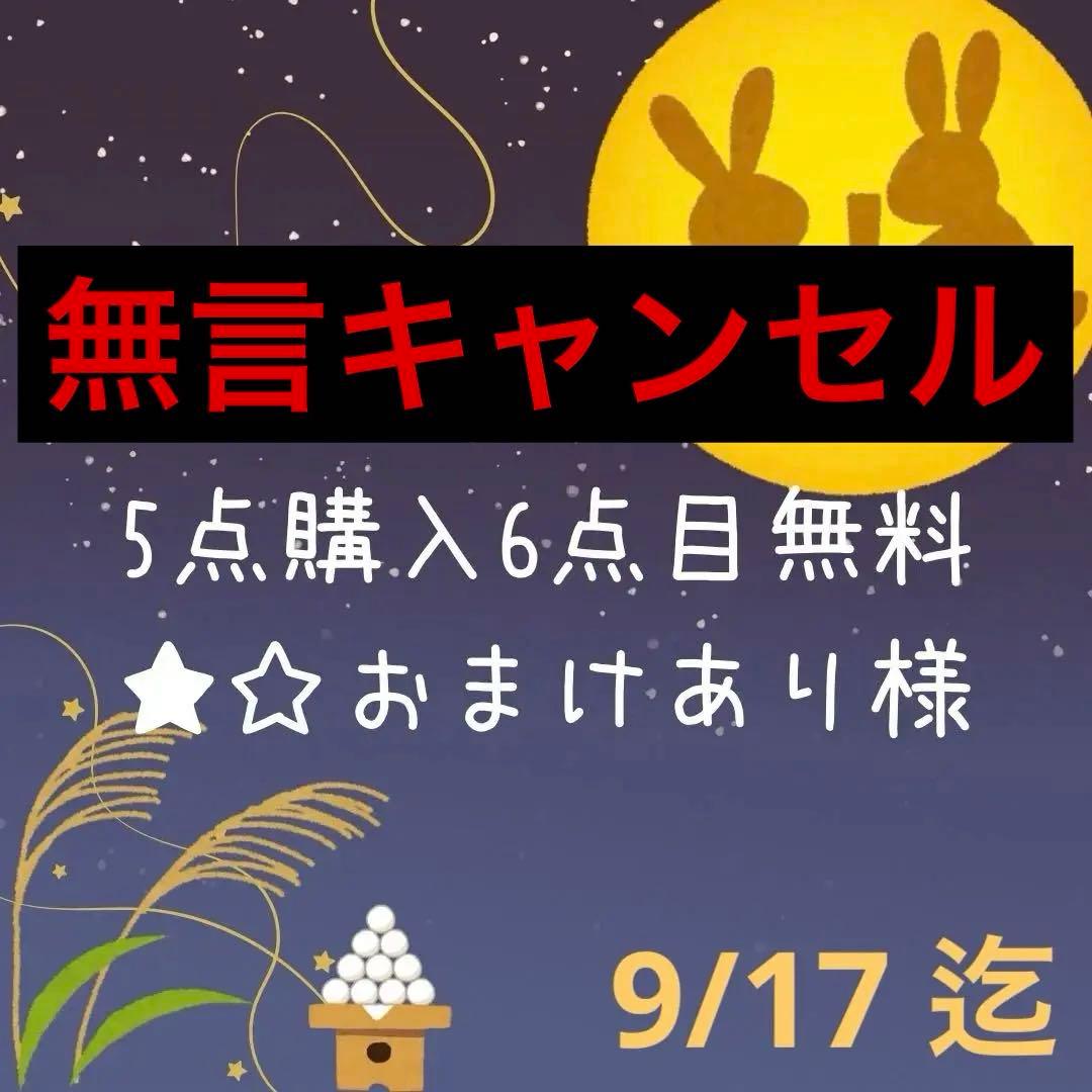 ♡5点購入6点目無料★☆おまけあり♡