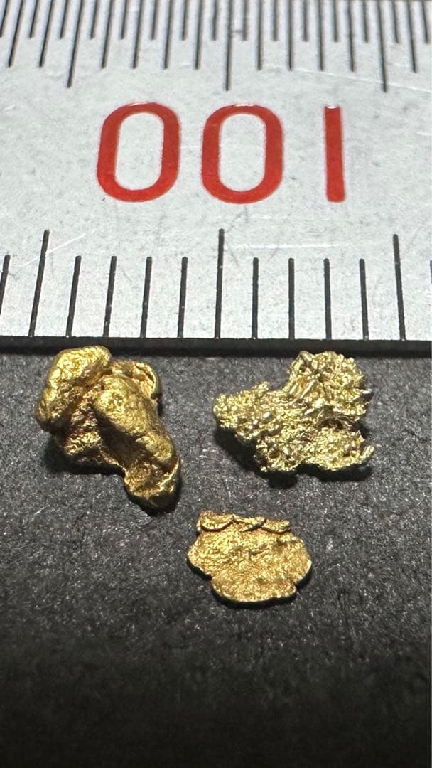 砂金　中粒　観賞・資料用