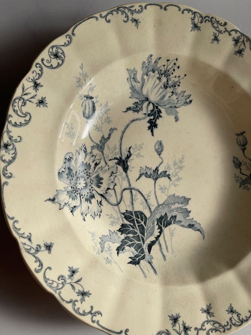 ジョワジールロワ　深皿2枚セット