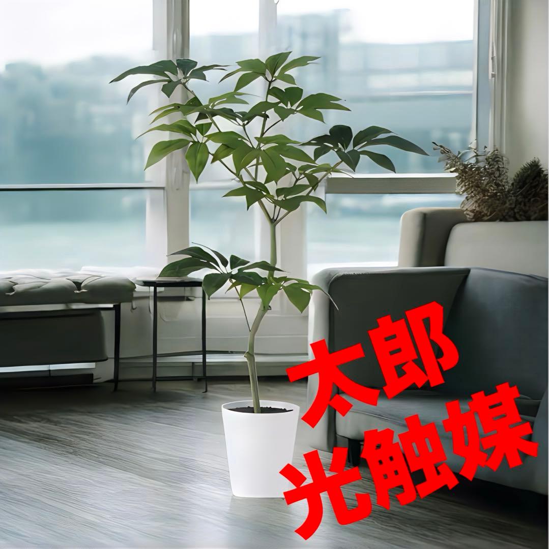 光触媒　人工観葉植物　ウォールグリーン　フェイクグリーン　ツピダンサス150