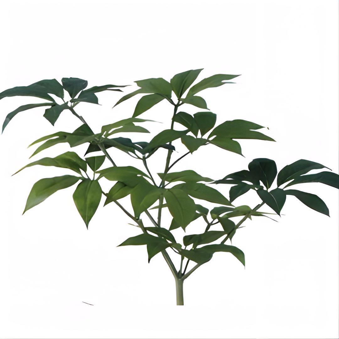 光触媒　人工観葉植物　ウォールグリーン　フェイクグリーン　ツピダンサス150