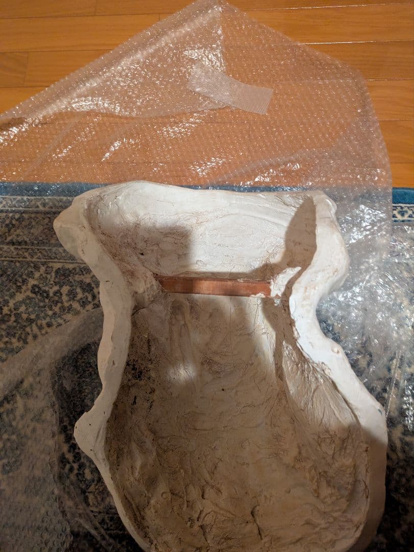 石膏像　モーゼ大顔面