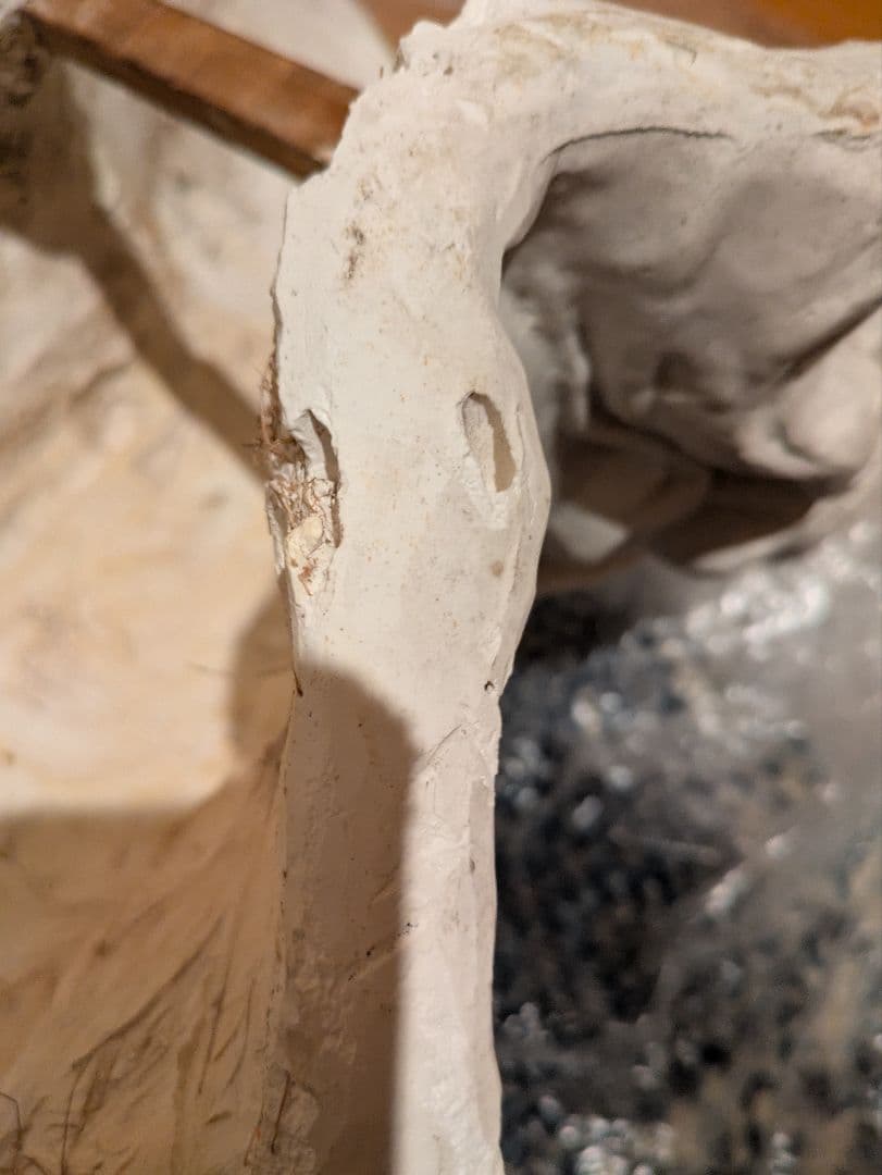 石膏像　モーゼ大顔面