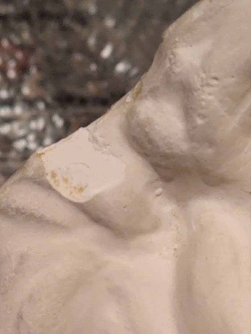 石膏像　モーゼ大顔面