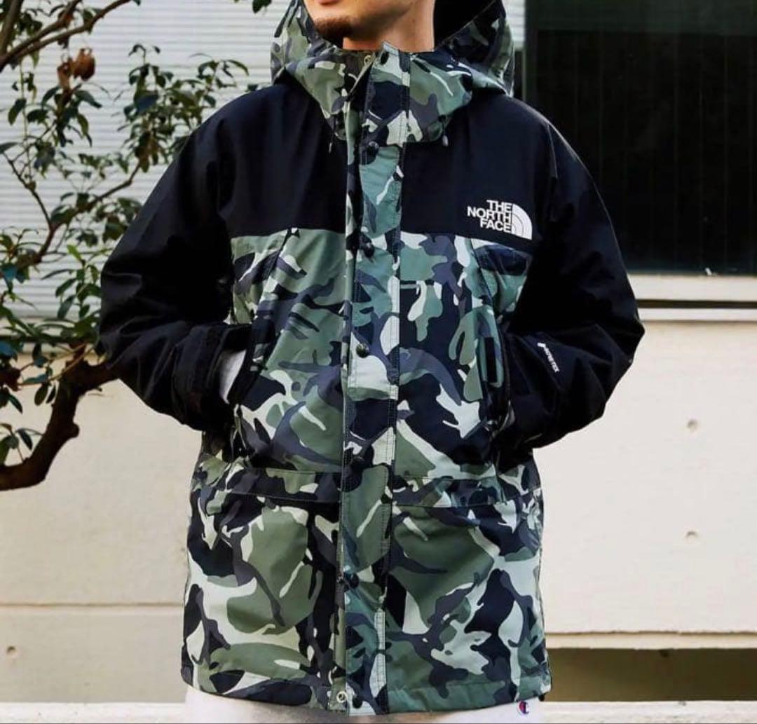 新品　THE NORTH FACE ノベルティマウンテンライトジャケット