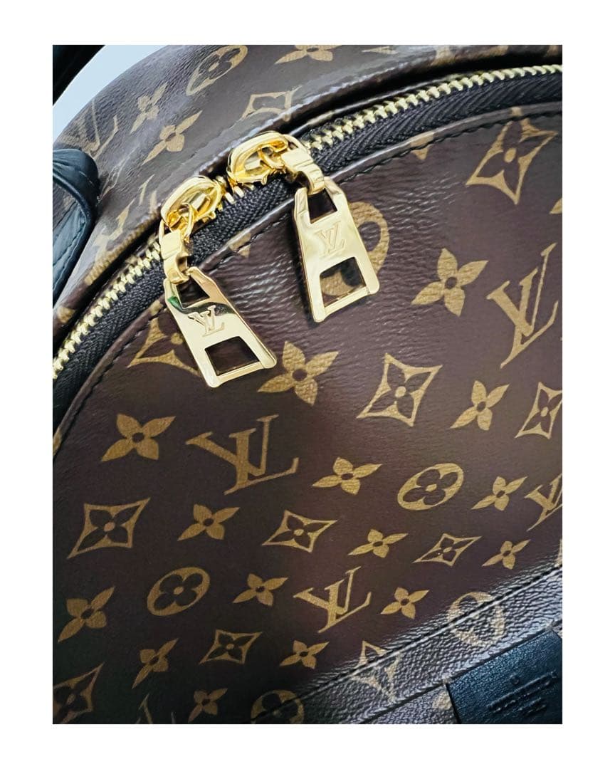 Sho様 Louis Vuitton パームスプリングス バックパック MM