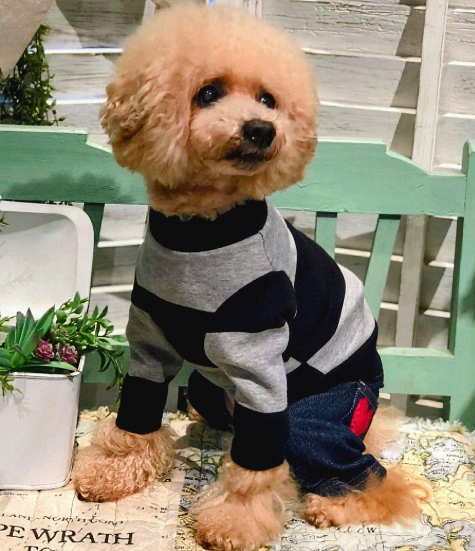 ビッグBDハイネック+パンツ　asknowasdewanアズノゥアズデワン