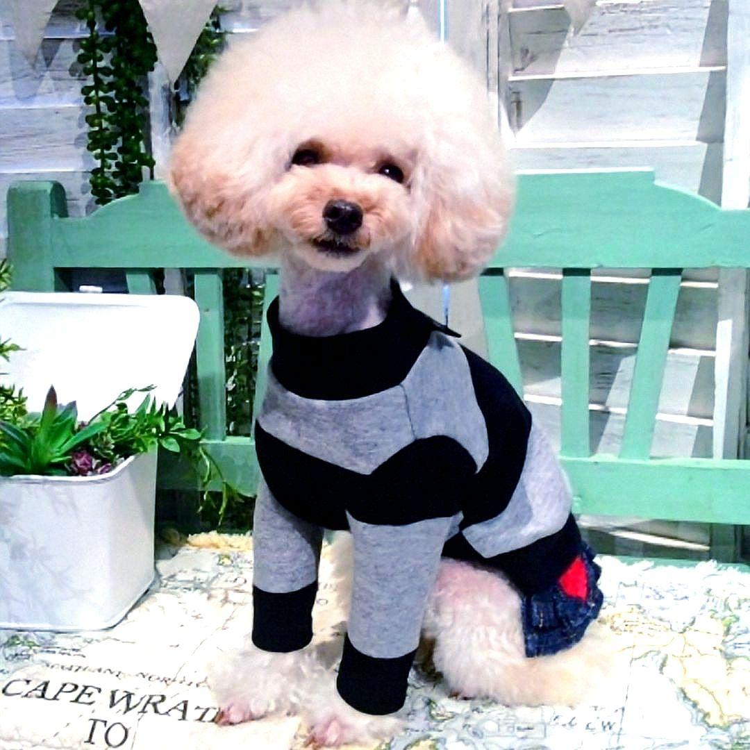 ビッグBDハイネック+パンツ　asknowasdewanアズノゥアズデワン