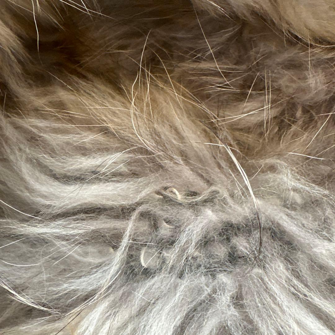 アパルトモン l'appartement コクーンスヌード　完売品