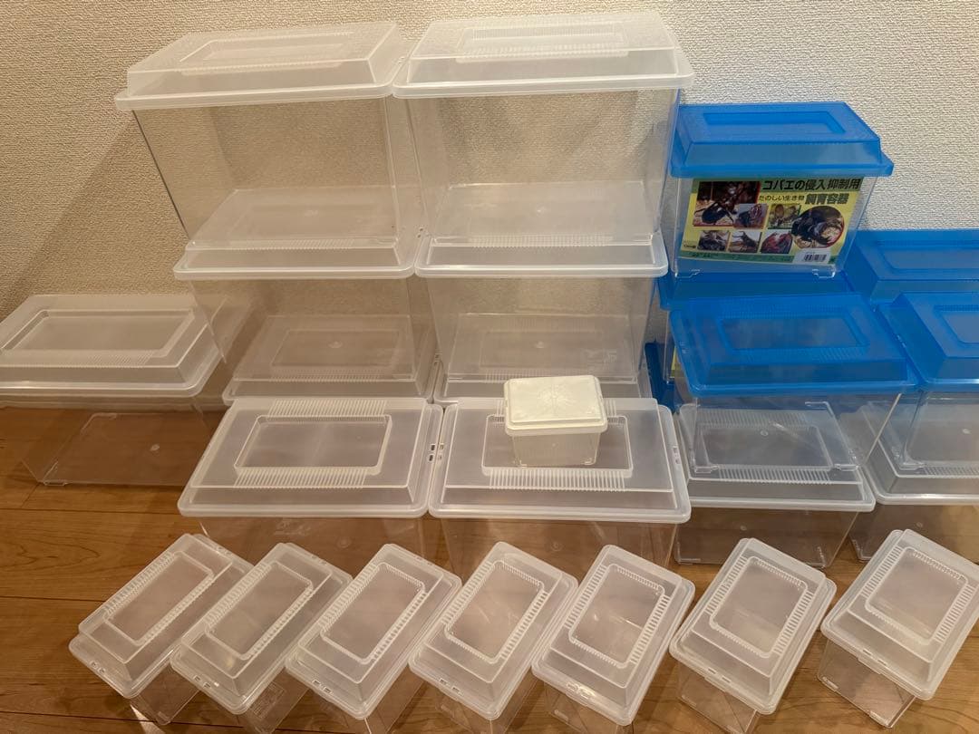 ムチムチ【引退品】コバエ侵入抑制ケースセット