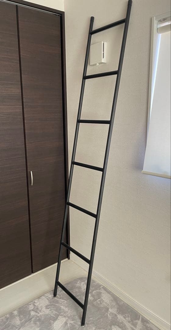 クラッシュゲート　ラダー