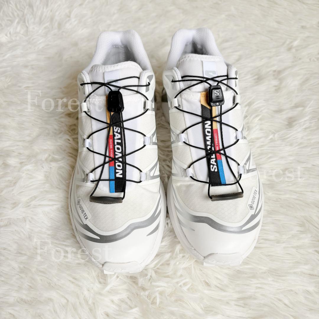 SALOMON XT-6 GTX　25.5