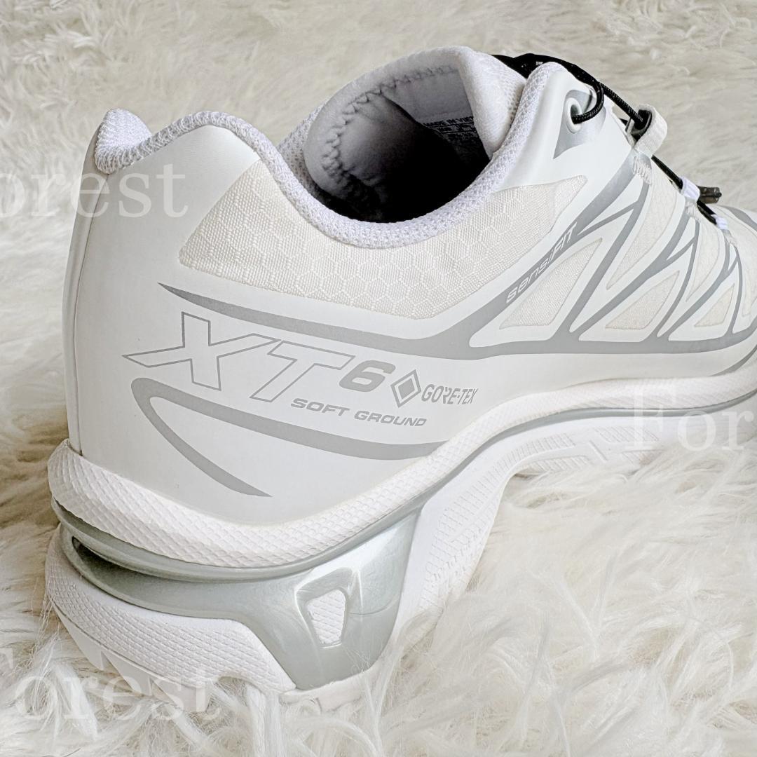 SALOMON XT-6 GTX　25.5