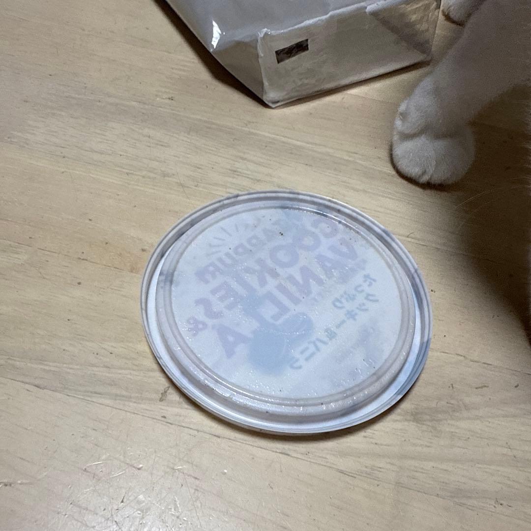 円形プラスチック食品保存皿