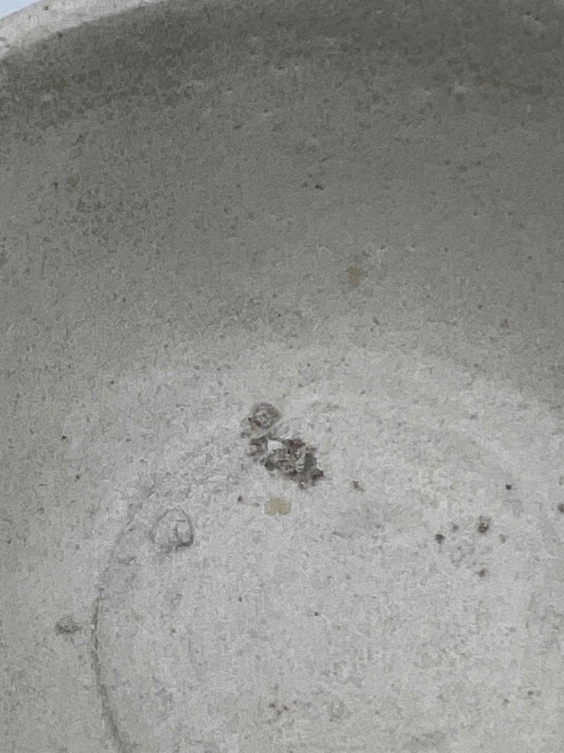 北宋から金時代 青白釉蓮花口茶盞　影青　景徳鎮　唐物　古賞物　茶道具(F-92)