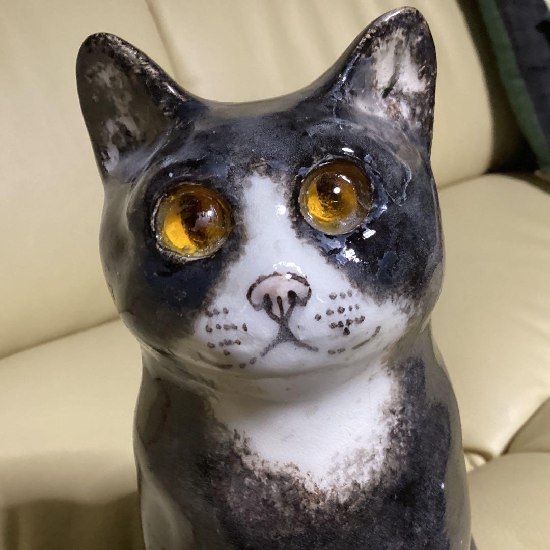 ウインスタンレイ女子のケンジントンキャットサイズ３の子