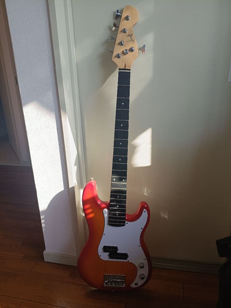 【Woofy】5弦プレシジョンベース　geek in box