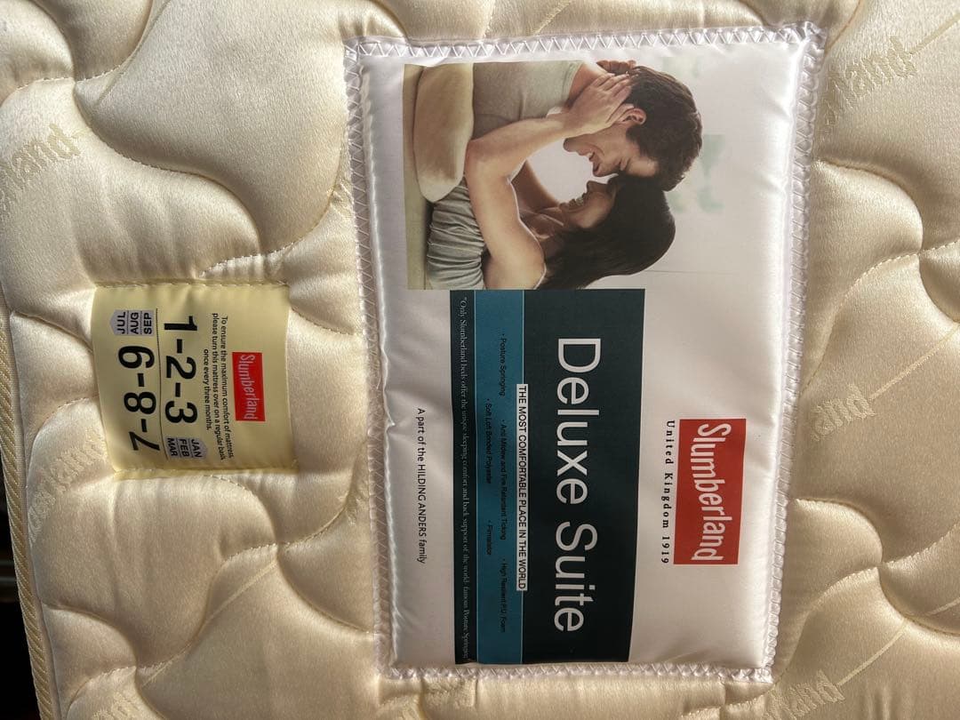 未使用 フランスベッド スランバーランド t-sl dxスイート セミダブル