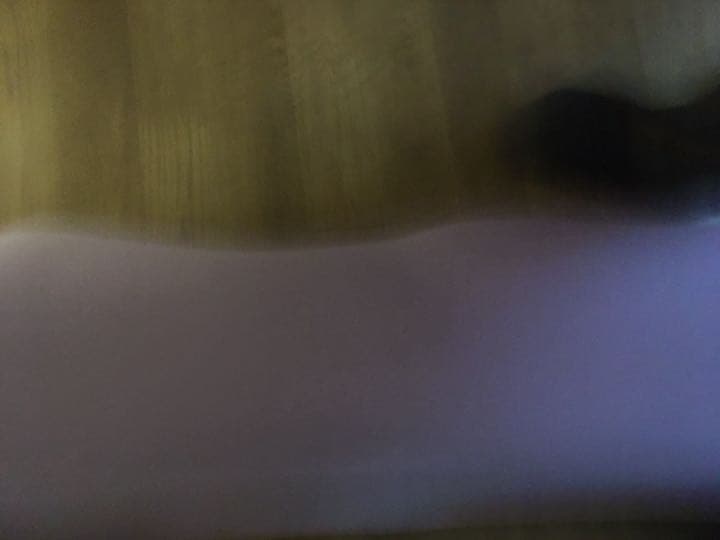 バイオラバーマット　Ｌ版　山本化学工業