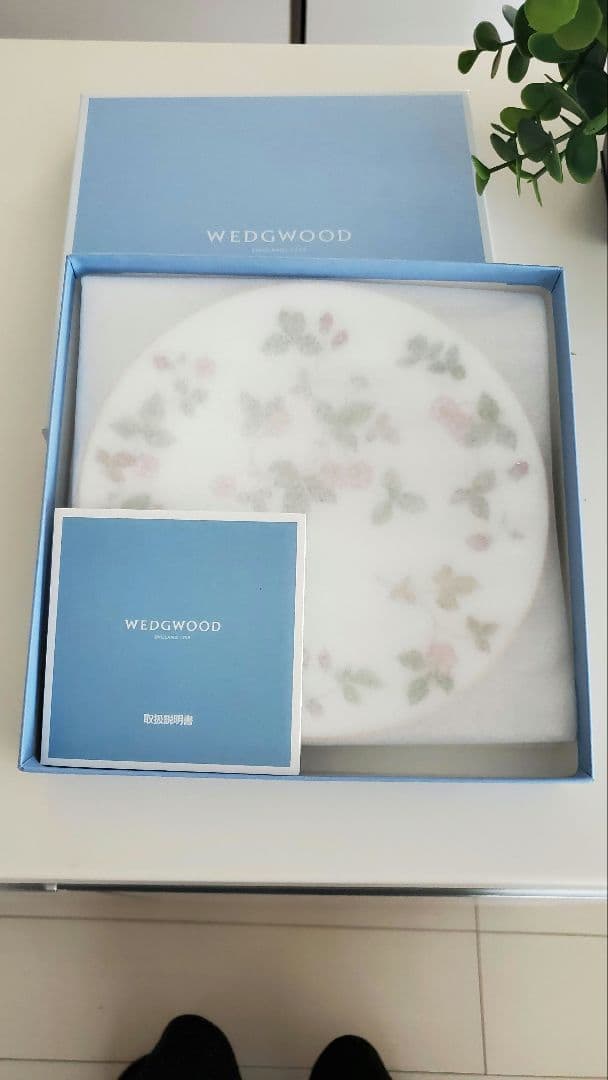 ★【新品】★★ワイルドストロベリー