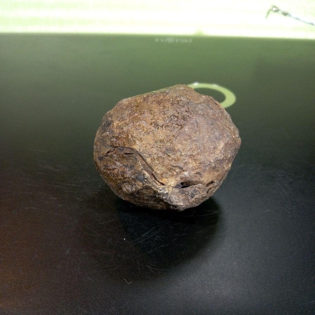 三葉虫　化石　fossil　ボリビア産　trilobite　ノジュール管理④