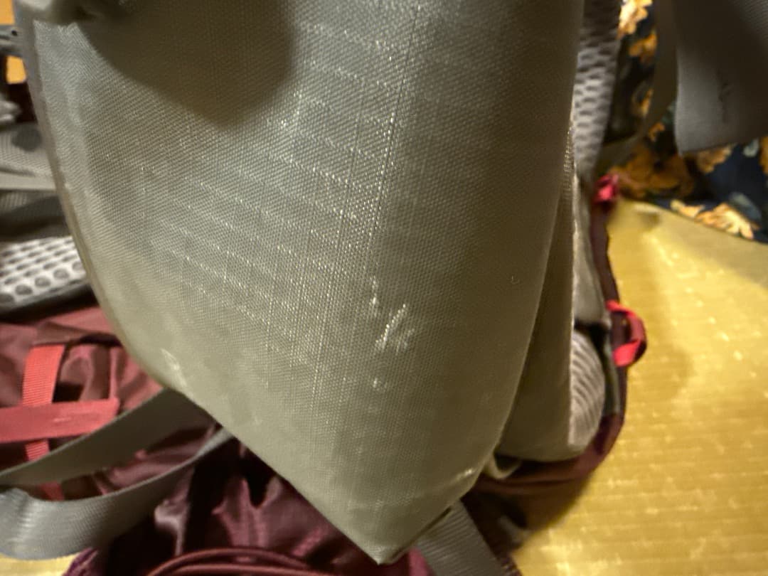 GREGORY DEVA 60 バックパック バーガンディ