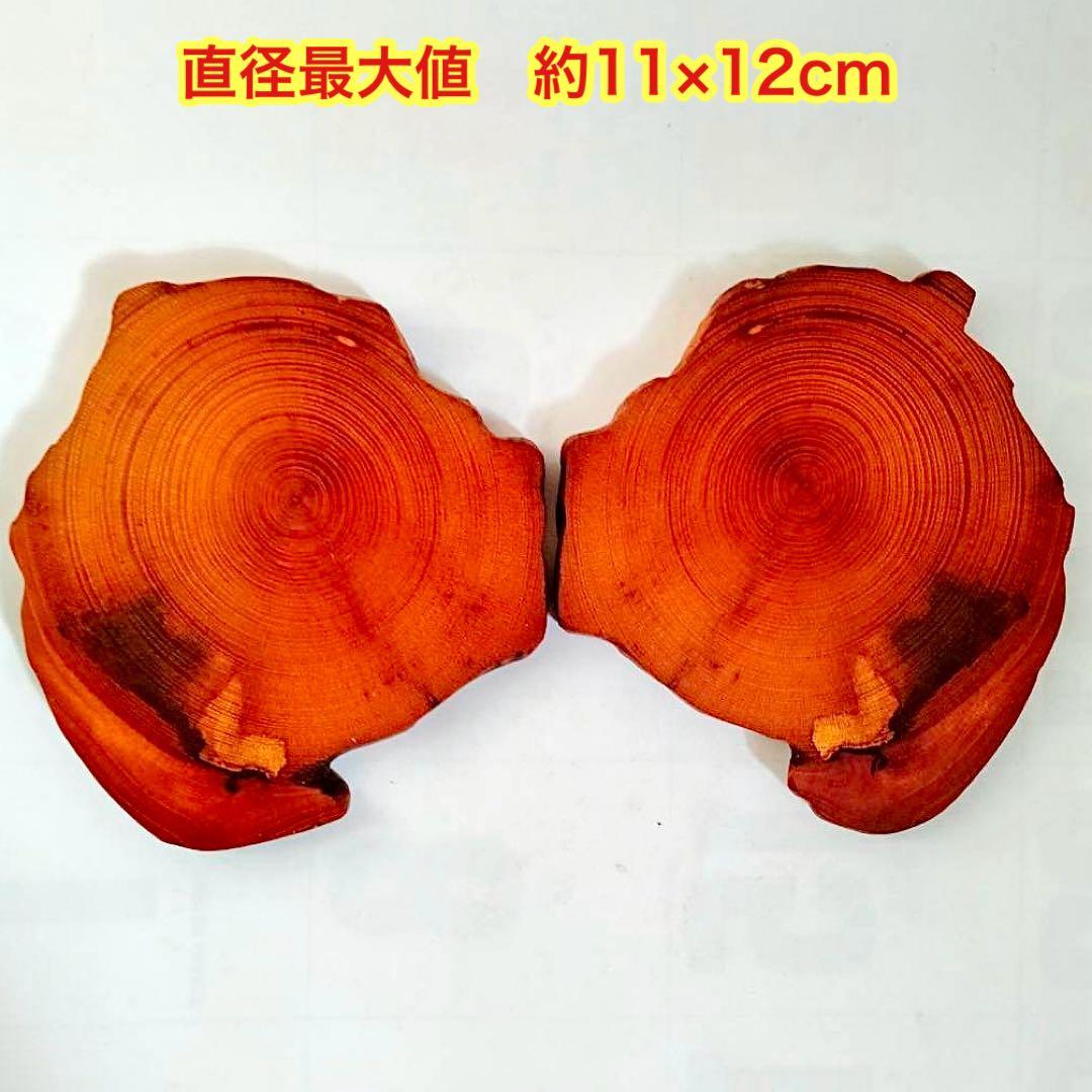 Borders様 リクエスト 5点 まとめ商品　輪切り　切り株　丸太　台座　花台