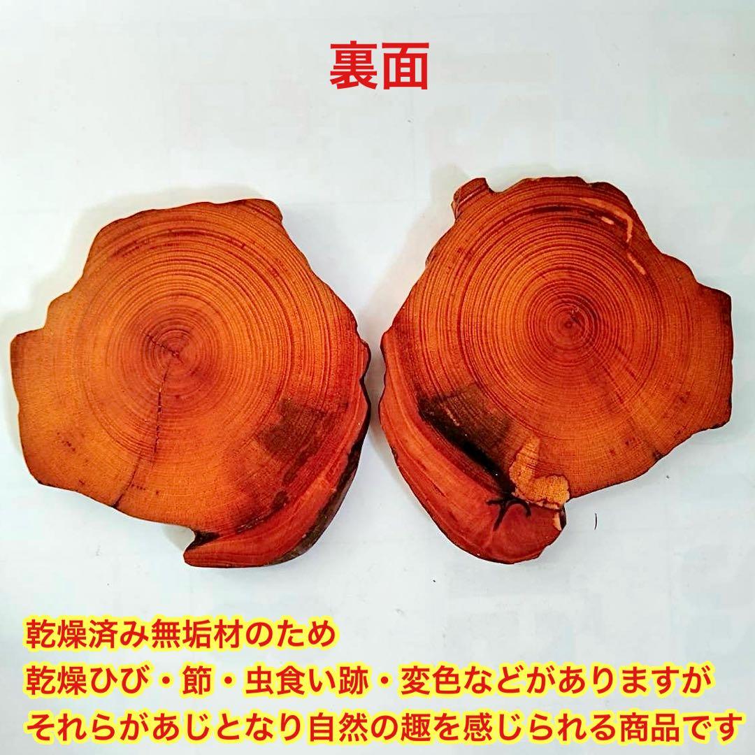Borders様 リクエスト 5点 まとめ商品　輪切り　切り株　丸太　台座　花台