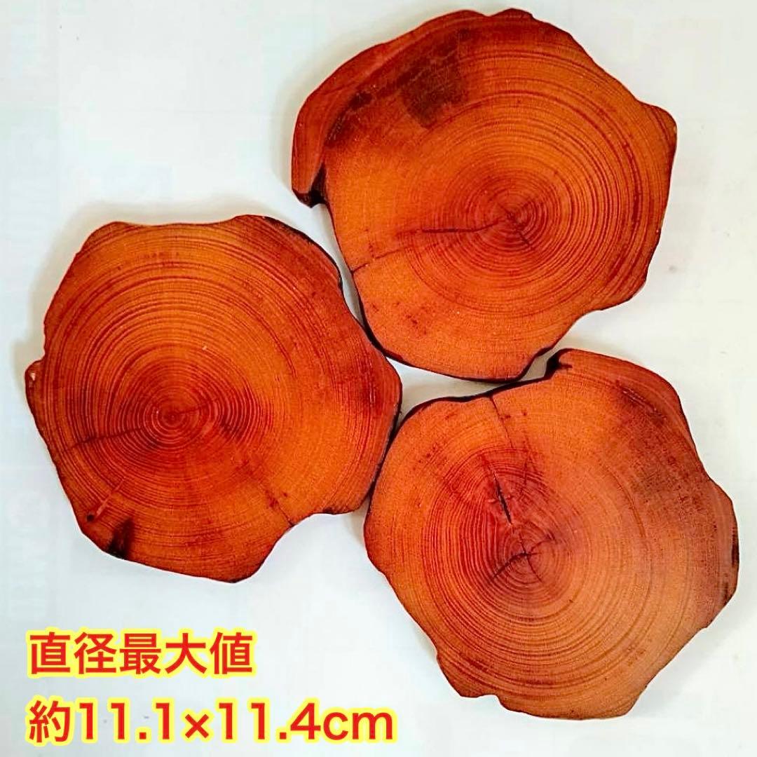 Borders様 リクエスト 5点 まとめ商品　輪切り　切り株　丸太　台座　花台