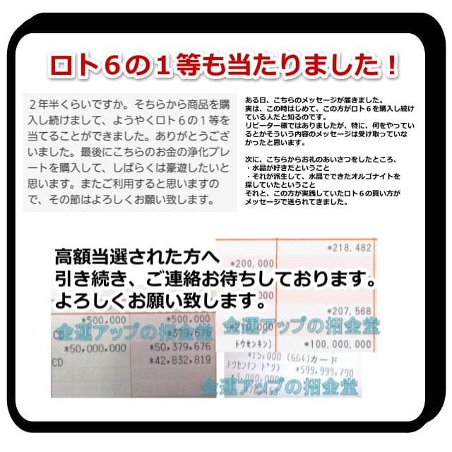 『金運財布 進化形オルゴナイト八角形プレート』金運財布へ 未使用 新品 No45