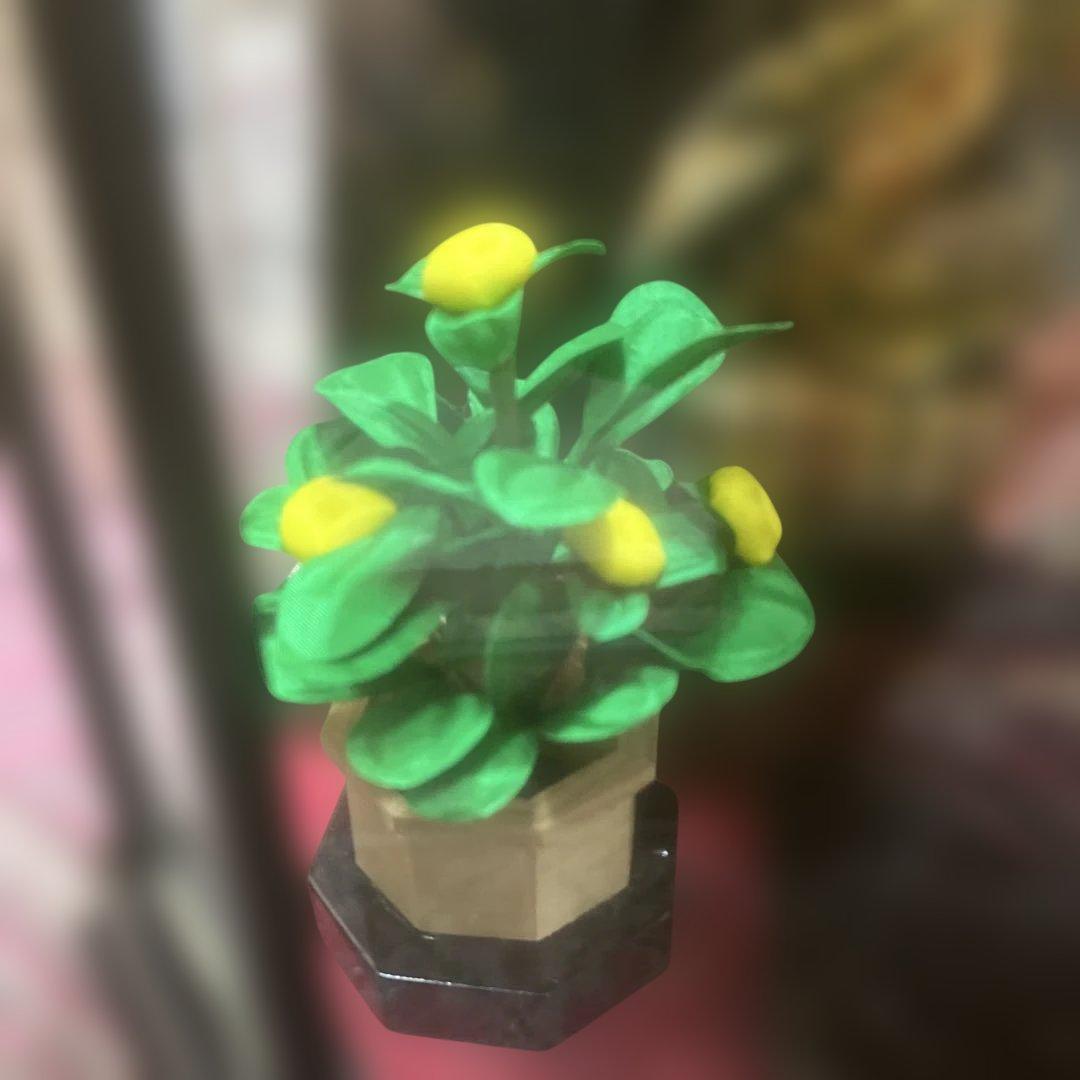 ひな人形 ガラスケース付き ランプ付き　ひな祭りのオルゴール付き