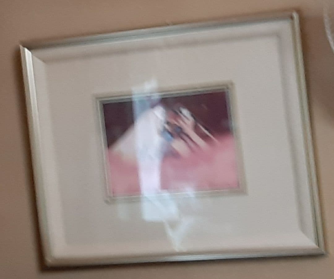 七宝 有名な先生の 絵です です