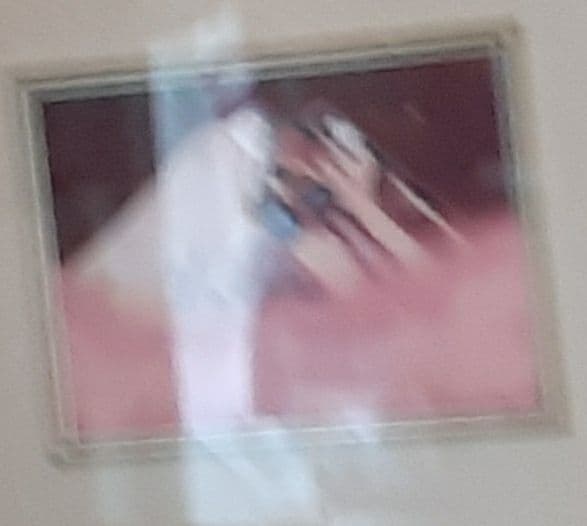 七宝 有名な先生の 絵です です