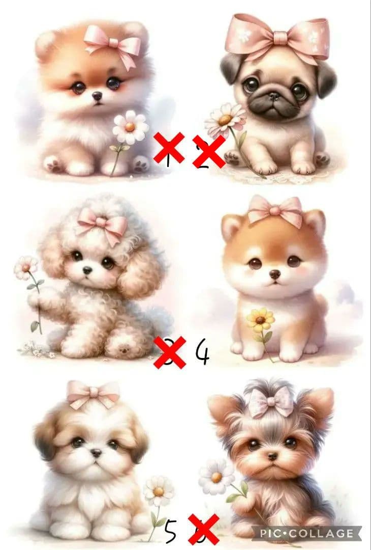 6/1 わんちゃん パネル ハンドメイド