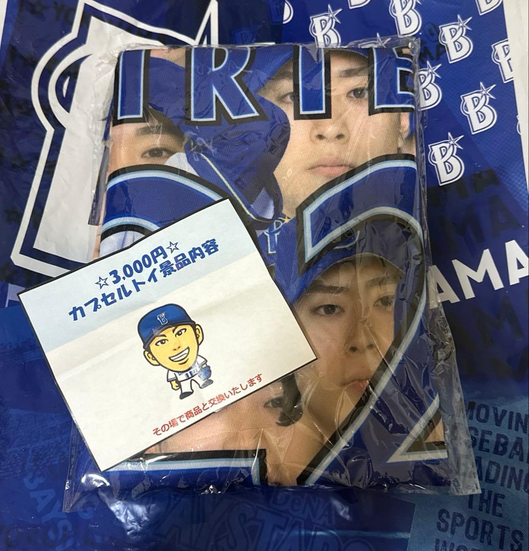 横浜DeNAベイスターズ 入江大生 ファンフェス 2025 ガチャ 総柄Tシャツ