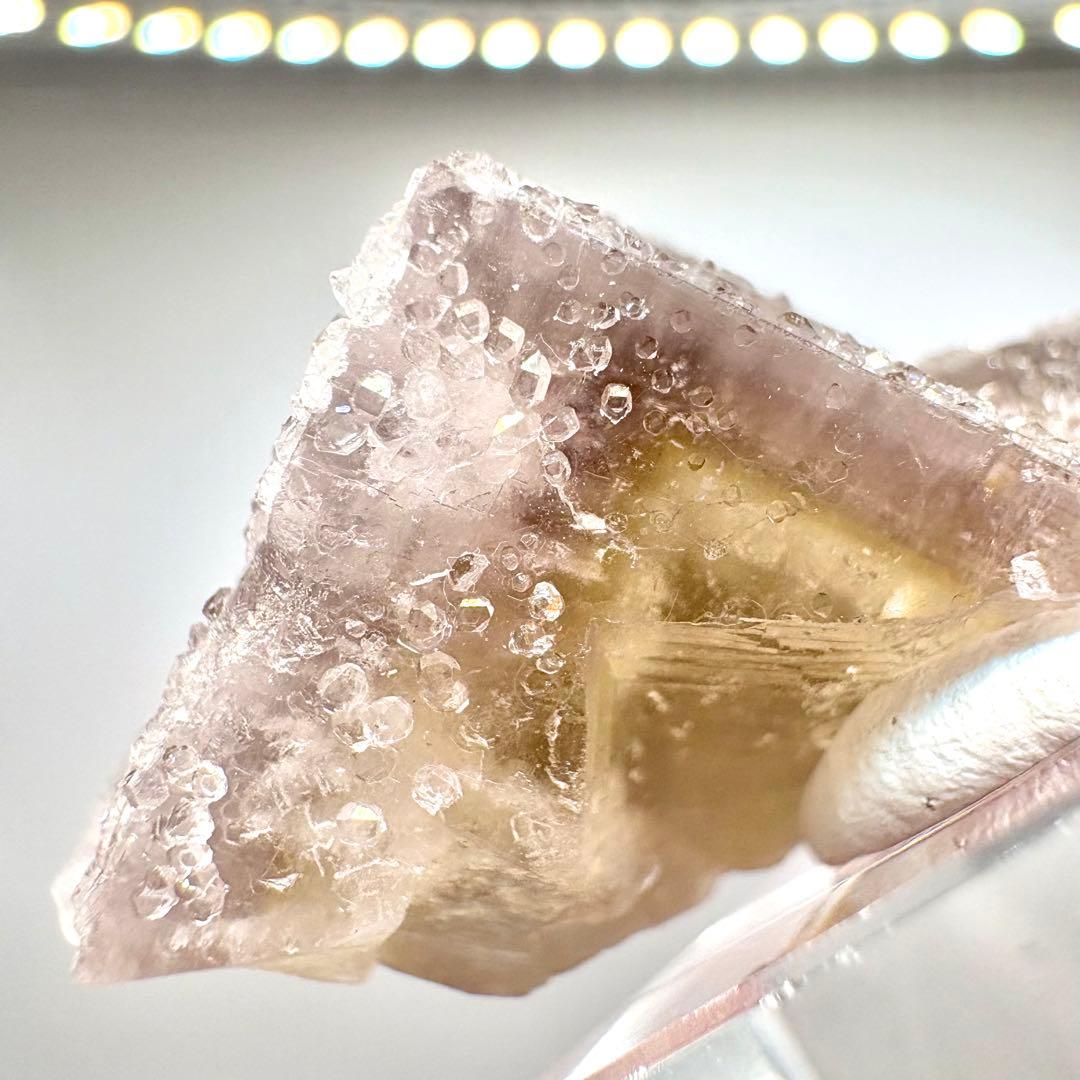 581 イギリス　シェリーツインズポケット　フローライト