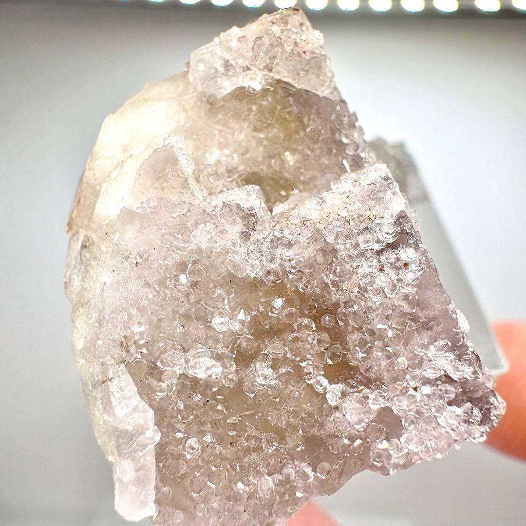 581 イギリス　シェリーツインズポケット　フローライト