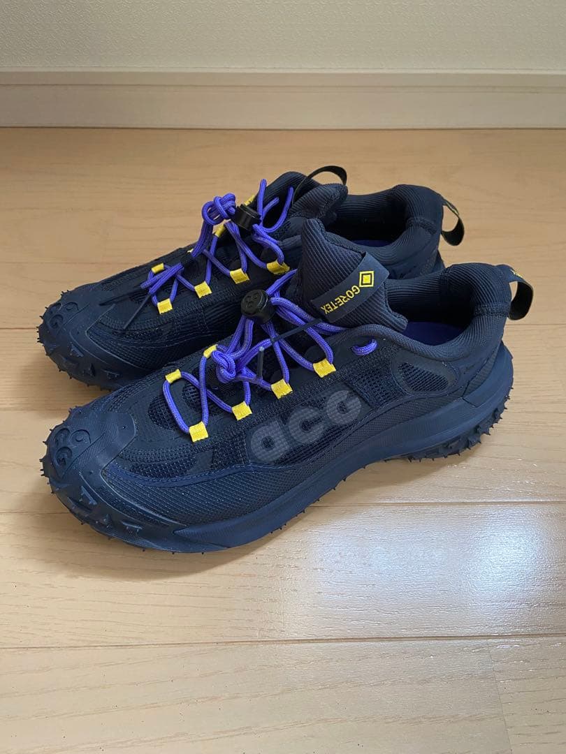 靴 NIKE ACG MOUNTAIN FLY 2 LOW GTX GORE-TEX
